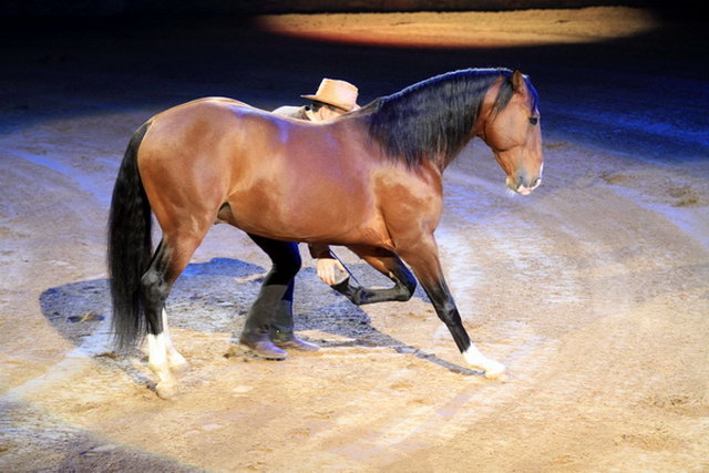 Apassionata    007.jpg